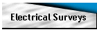 Electrical Surveys