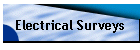 Electrical Surveys