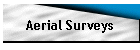 Aerial Surveys