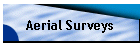 Aerial Surveys